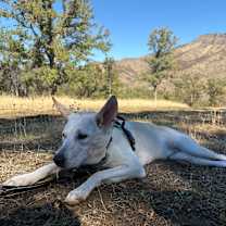 Thumbnail photo of Sol #3