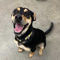 Thumbnail photo of Peter Barker - The Destroyer of Chaos! #1