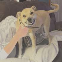 Thumbnail photo of Gus #1