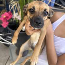 Thumbnail photo of Teya #1