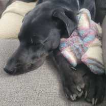 Thumbnail photo of Zilker #2