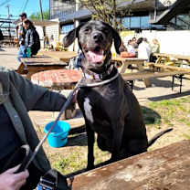 Thumbnail photo of Zilker #4