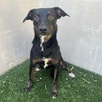 Thumbnail photo of Velma  #4