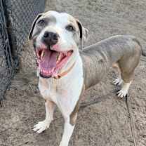 Thumbnail photo of Dollar #1