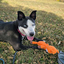 Thumbnail photo of Miracle #3