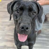 Thumbnail photo of Ninja #3