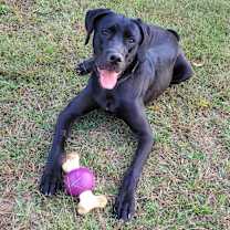 Thumbnail photo of Ninja #4