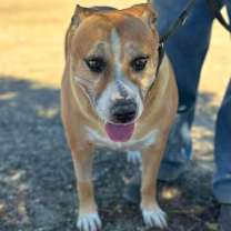 Thumbnail photo of SHIRLEY #2