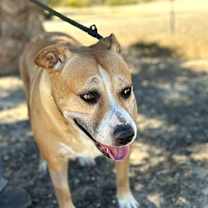 Thumbnail photo of SHIRLEY #3