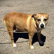 Thumbnail photo of SHIRLEY #4