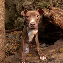 Thumbnail photo of Reaper #2