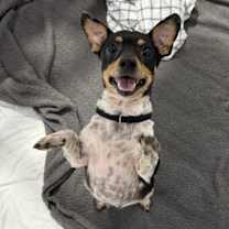 Thumbnail photo of Molly #3