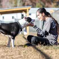 Thumbnail photo of Harley #2