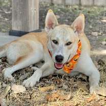 Thumbnail photo of Mercury #2