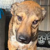 Thumbnail photo of Hugh #1