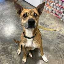 Thumbnail photo of Dakota #2