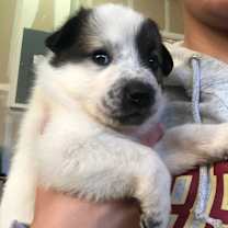 Thumbnail photo of Babe #3