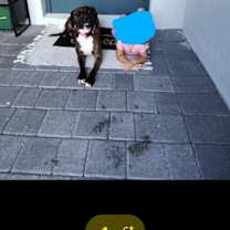 Thumbnail photo of Tory #3