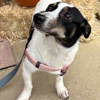 Thumbnail photo of Skittles #3