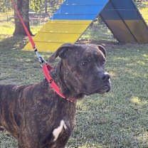 Thumbnail photo of Lincoln #1