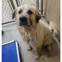 Thumbnail photo of Samuel #2