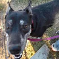 Thumbnail photo of Kayla #4