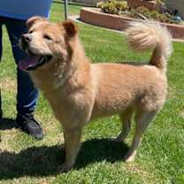 Thumbnail photo of Nina #2