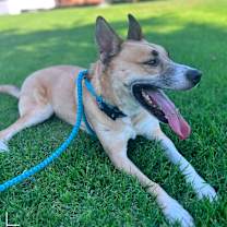 Thumbnail photo of HAYDEN #1