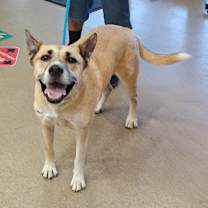 Thumbnail photo of HAYDEN #2