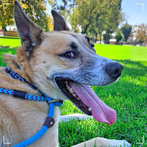 Thumbnail photo of HAYDEN #3