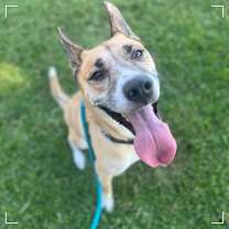 Thumbnail photo of HAYDEN #4