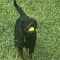 Thumbnail photo of Jackson #1