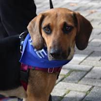 Thumbnail photo of Dolly #1