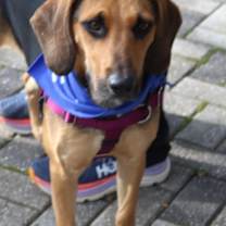 Thumbnail photo of Dolly #2