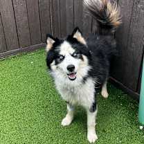 Thumbnail photo of Eclipse 0008 #2