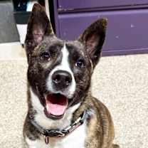 Thumbnail photo of Karma #3