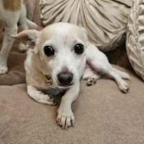 Thumbnail photo of Linus #2