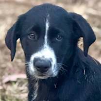 Thumbnail photo of Gavin #2