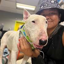 Thumbnail photo of September Rain #2