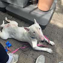 Thumbnail photo of September Rain #3