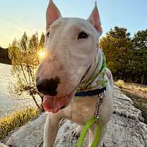 Thumbnail photo of September Rain #4