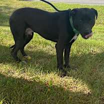 Thumbnail photo of Mikey #1