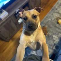 Thumbnail photo of Rupee #4