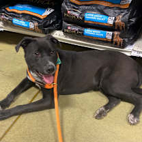 Thumbnail photo of Mikey #4