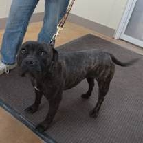 Thumbnail photo of Greer #2