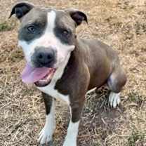 Thumbnail photo of Clementine #2