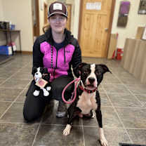 Thumbnail photo of BUSTER ~ $0 Adoption Fee! #4