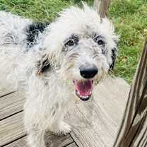 Thumbnail photo of Matthew #1