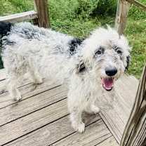 Thumbnail photo of Matthew #2