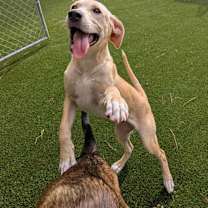 Thumbnail photo of Annie #4